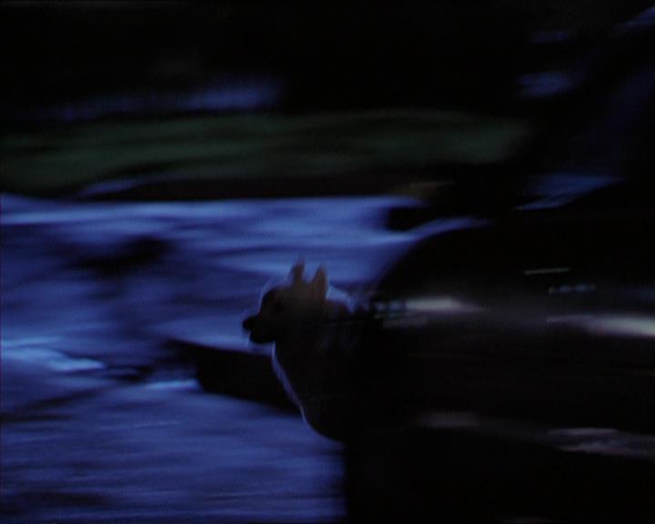 Charmed-Online-dot-320LookWhosBarking1212.jpg Charmed-Online-dot-320LookWhosBarking1212.jpg