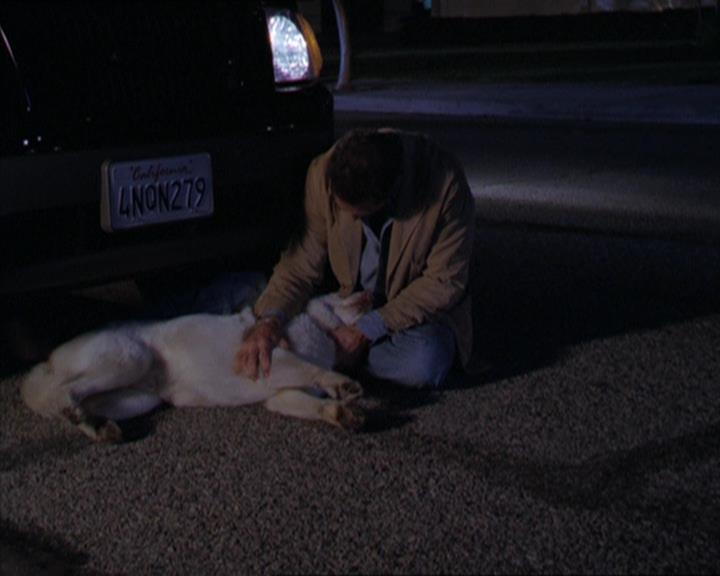 Charmed-Online-dot-320LookWhosBarking1226.jpg Charmed-Online-dot-320LookWhosBarking1226.jpg