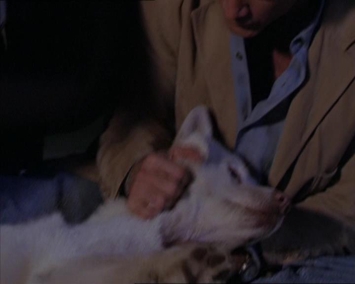 Charmed-Online-dot-320LookWhosBarking1231.jpg Charmed-Online-dot-320LookWhosBarking1231.jpg