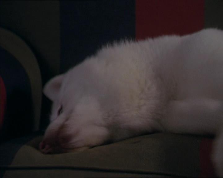 Charmed-Online-dot-320LookWhosBarking1595.jpg Charmed-Online-dot-320LookWhosBarking1595.jpg