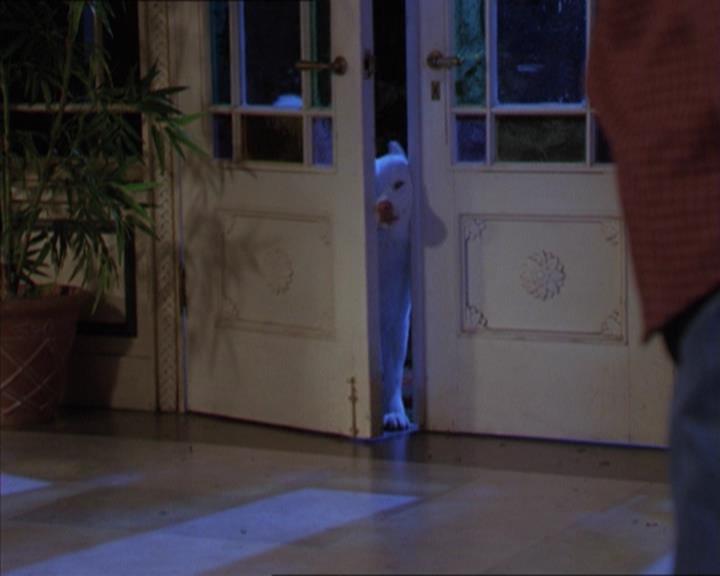 Charmed-Online-dot-320LookWhosBarking1865.jpg Charmed-Online-dot-320LookWhosBarking1865.jpg