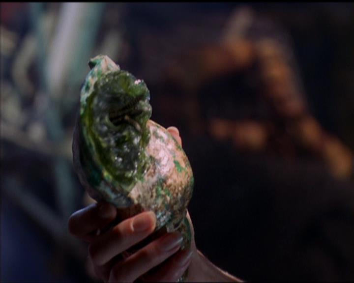 Charmed-Online_dot_net-5x01-2AWitchTail0187.jpg Charmed-Online_dot_net-5x01-2AWitchTail0187.jpg