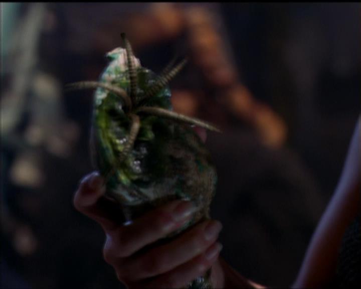 Charmed-Online_dot_net-5x01-2AWitchTail0197.jpg Charmed-Online_dot_net-5x01-2AWitchTail0197.jpg