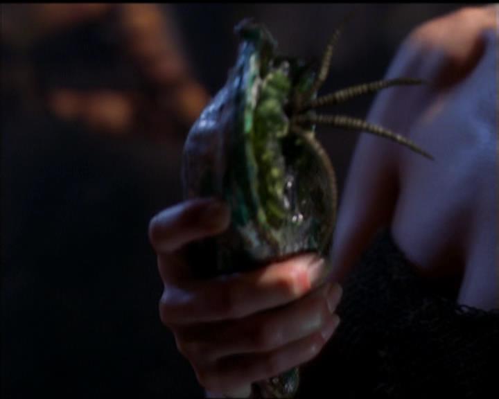 Charmed-Online_dot_net-5x01-2AWitchTail0198.jpg Charmed-Online_dot_net-5x01-2AWitchTail0198.jpg