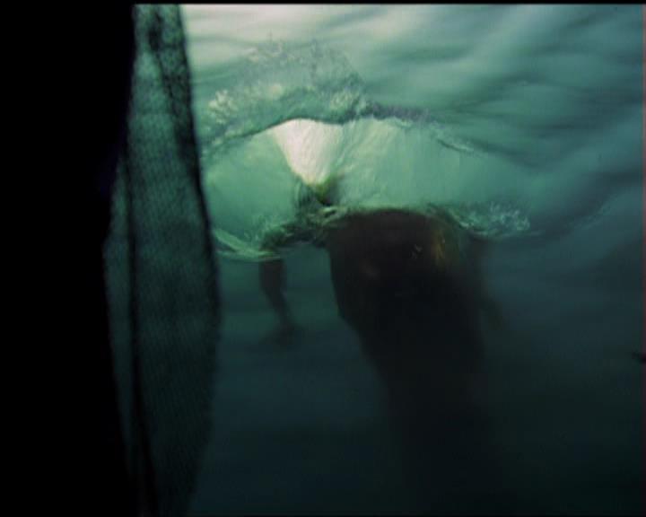 Charmed-Online_dot_net-5x01-2AWitchTail0213.jpg Charmed-Online_dot_net-5x01-2AWitchTail0213.jpg