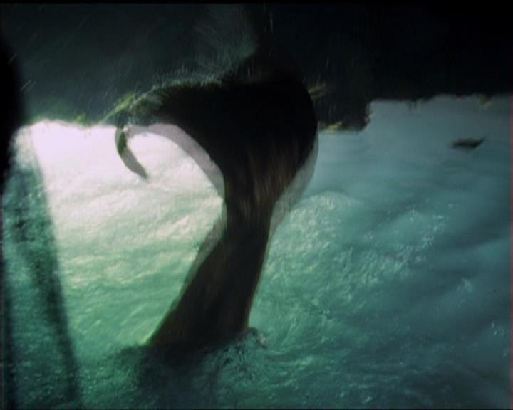 Charmed-Online_dot_net-5x01-2AWitchTail0215.jpg Charmed-Online_dot_net-5x01-2AWitchTail0215.jpg