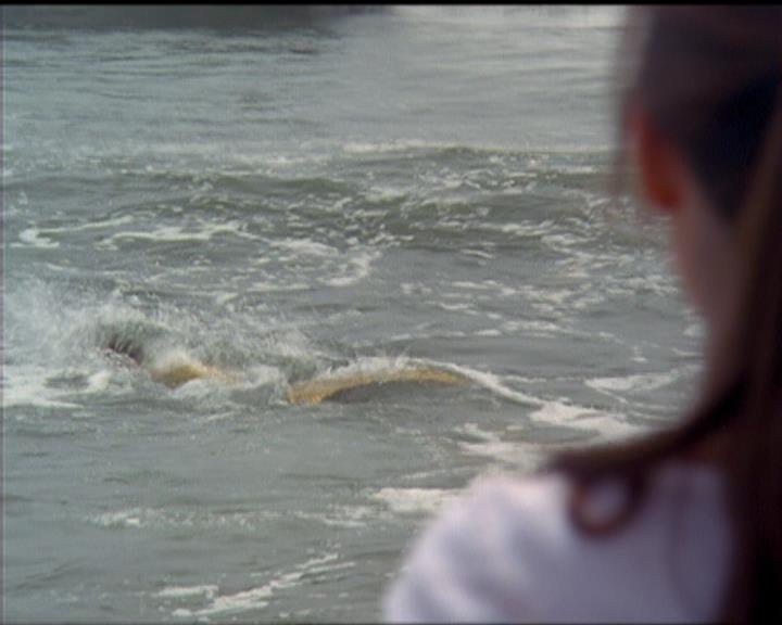 Charmed-Online_dot_net-5x01-2AWitchTail2163.jpg Charmed-Online_dot_net-5x01-2AWitchTail2163.jpg