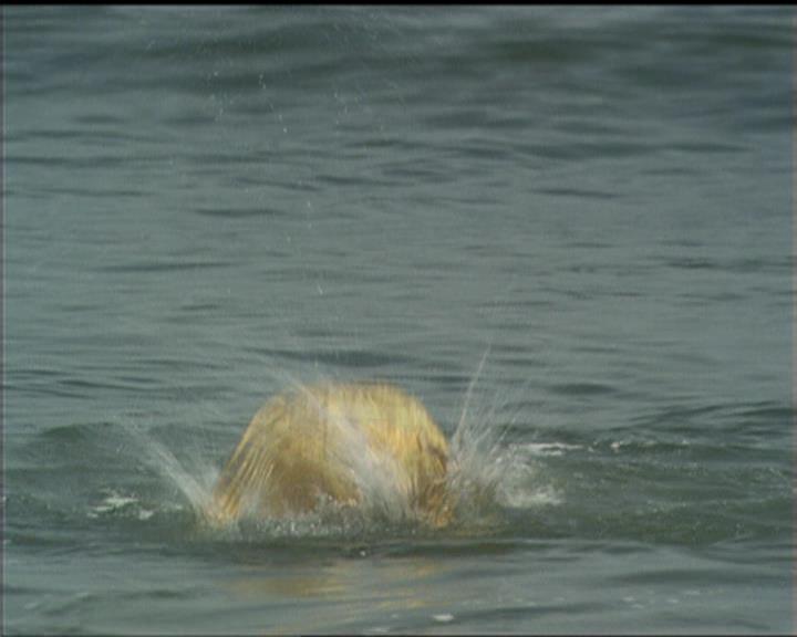 Charmed-Online_dot_net-5x01-2AWitchTail2166.jpg Charmed-Online_dot_net-5x01-2AWitchTail2166.jpg