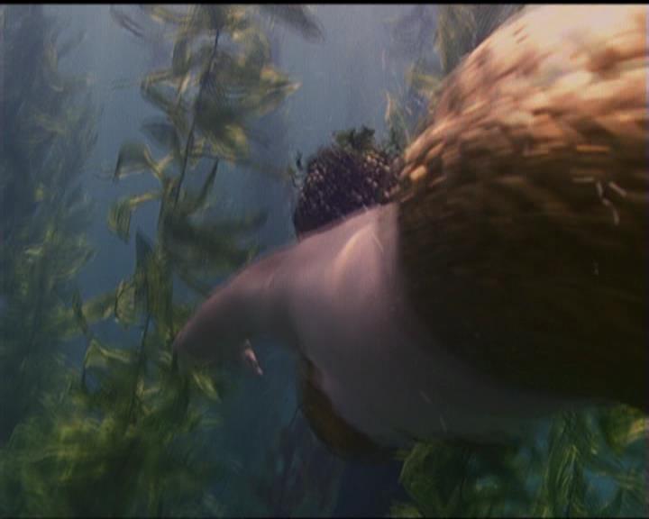 Charmed-Online_dot_net-5x02AWitchsTailPart2-0008.jpg Charmed-Online_dot_net-5x02AWitchsTailPart2-0008.jpg