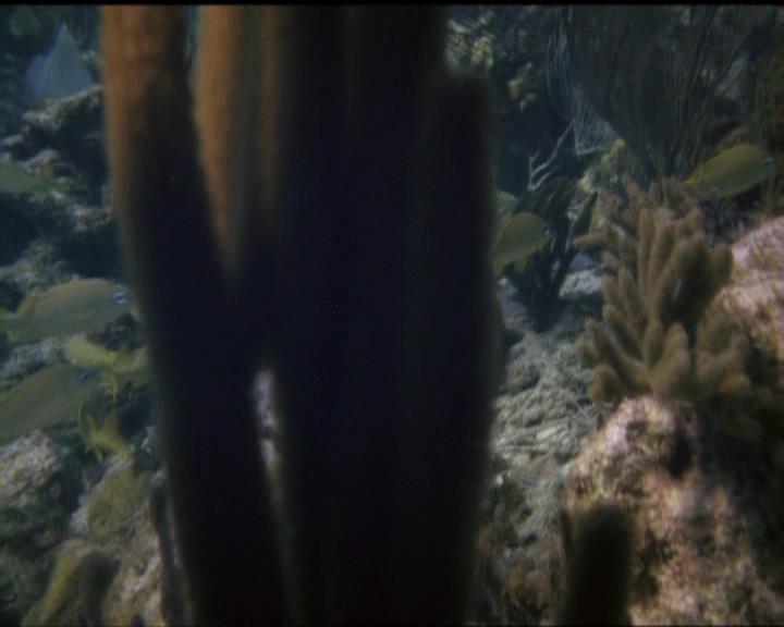 Charmed-Online_dot_net-5x02AWitchsTailPart2-0013.jpg Charmed-Online_dot_net-5x02AWitchsTailPart2-0013.jpg