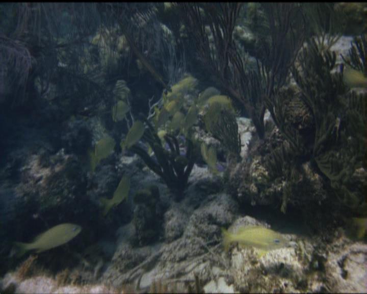 Charmed-Online_dot_net-5x02AWitchsTailPart2-0015.jpg Charmed-Online_dot_net-5x02AWitchsTailPart2-0015.jpg