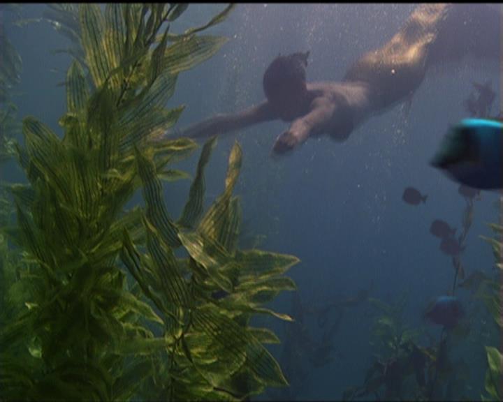 Charmed-Online_dot_net-5x02AWitchsTailPart2-0021.jpg Charmed-Online_dot_net-5x02AWitchsTailPart2-0021.jpg