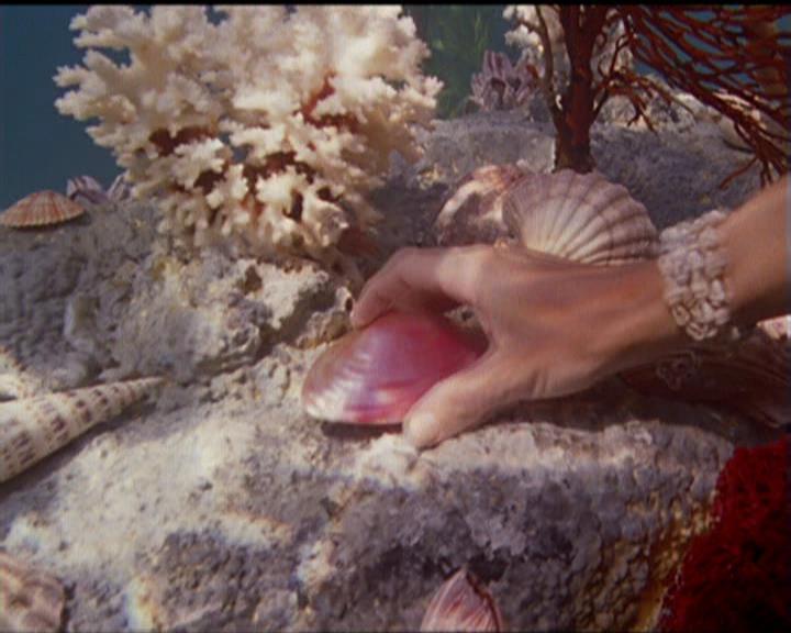 Charmed-Online_dot_net-5x02AWitchsTailPart2-0029.jpg Charmed-Online_dot_net-5x02AWitchsTailPart2-0029.jpg