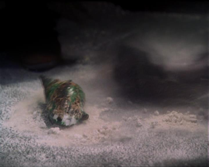 Charmed-Online_dot_net-5x02AWitchsTailPart2-0180.jpg Charmed-Online_dot_net-5x02AWitchsTailPart2-0180.jpg