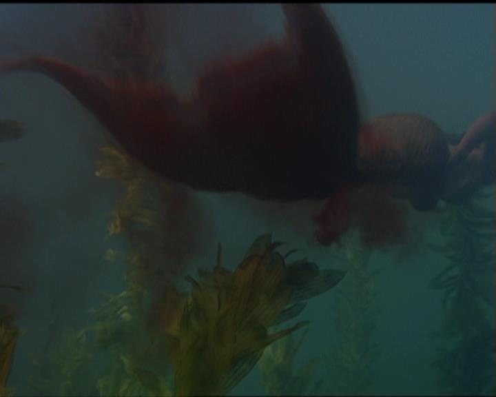 Charmed-Online_dot_net-5x02AWitchsTailPart2-0212.jpg Charmed-Online_dot_net-5x02AWitchsTailPart2-0212.jpg