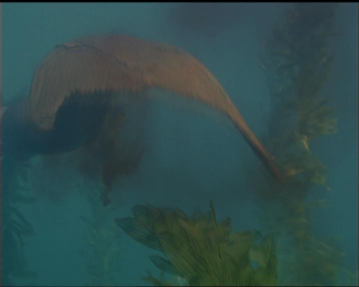 Charmed-Online_dot_net-5x02AWitchsTailPart2-0451.jpg Charmed-Online_dot_net-5x02AWitchsTailPart2-0451.jpg