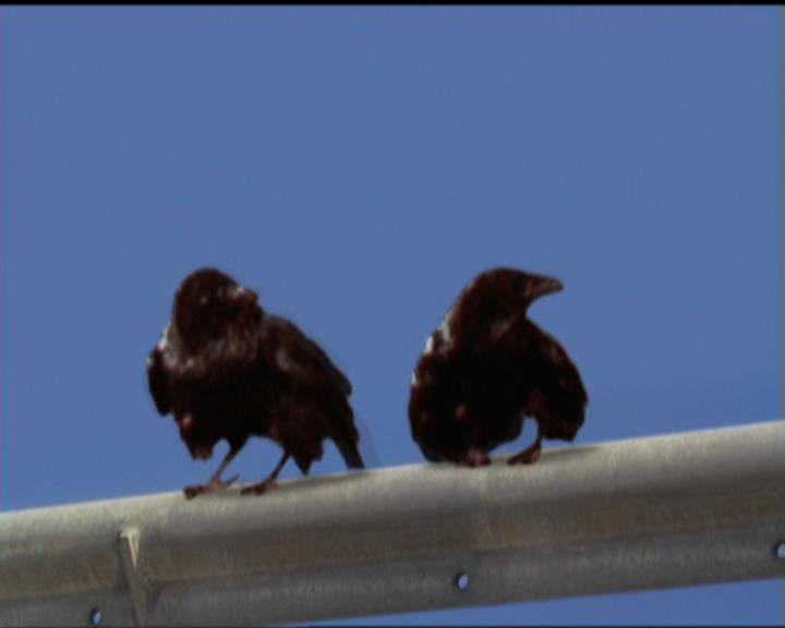 Charmed-Online_dot_net-5x02AWitchsTailPart2-0774.jpg Charmed-Online_dot_net-5x02AWitchsTailPart2-0774.jpg