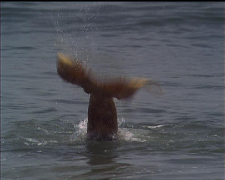 Charmed-Online_dot_net-5x02AWitchsTailPart2-1794.jpg Charmed-Online_dot_net-5x02AWitchsTailPart2-1794.jpg