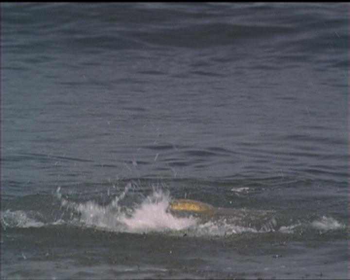 Charmed-Online_dot_net-5x02AWitchsTailPart2-1795.jpg Charmed-Online_dot_net-5x02AWitchsTailPart2-1795.jpg