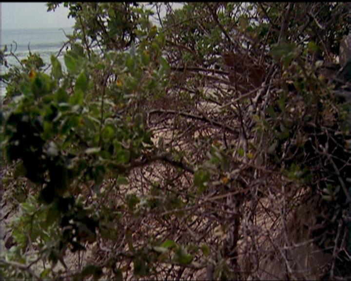 Charmed-Online_dot_net-5x02AWitchsTailPart2-1891.jpg Charmed-Online_dot_net-5x02AWitchsTailPart2-1891.jpg