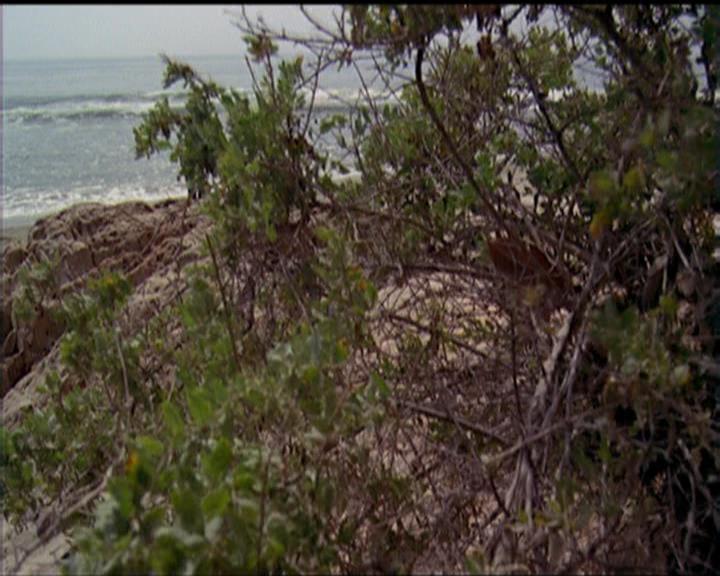 Charmed-Online_dot_net-5x02AWitchsTailPart2-1893.jpg Charmed-Online_dot_net-5x02AWitchsTailPart2-1893.jpg