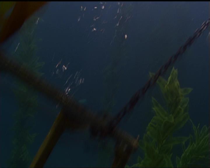 Charmed-Online_dot_net-5x02AWitchsTailPart2-1953.jpg Charmed-Online_dot_net-5x02AWitchsTailPart2-1953.jpg