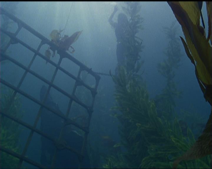 Charmed-Online_dot_net-5x02AWitchsTailPart2-1963.jpg Charmed-Online_dot_net-5x02AWitchsTailPart2-1963.jpg