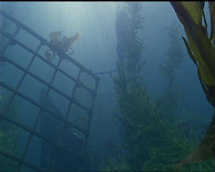 Charmed-Online_dot_net-5x02AWitchsTailPart2-1976.jpg Charmed-Online_dot_net-5x02AWitchsTailPart2-1976.jpg