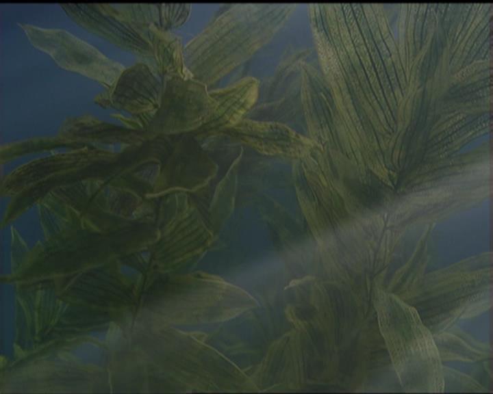 Charmed-Online_dot_net-5x02AWitchsTailPart2-2051.jpg Charmed-Online_dot_net-5x02AWitchsTailPart2-2051.jpg