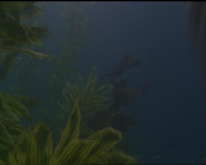 Charmed-Online_dot_net-5x02AWitchsTailPart2-2059.jpg Charmed-Online_dot_net-5x02AWitchsTailPart2-2059.jpg