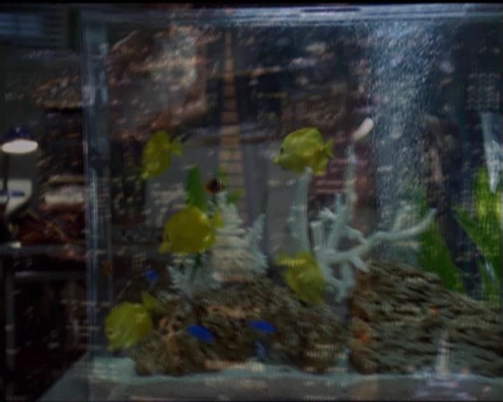 Charmed-Online_dot_net-5x02AWitchsTailPart2-2269.jpg Charmed-Online_dot_net-5x02AWitchsTailPart2-2269.jpg