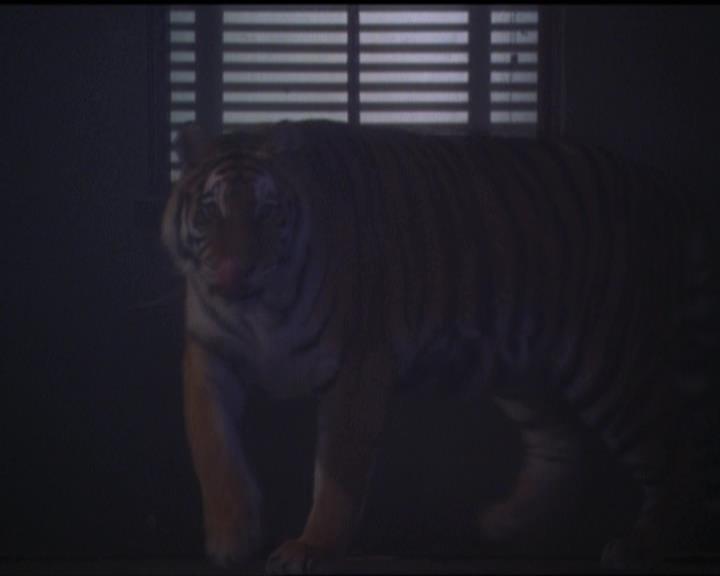 Charmed-Online-dot-net_5x05WitchesInTights0226.jpg Charmed-Online-dot-net_5x05WitchesInTights0226.jpg