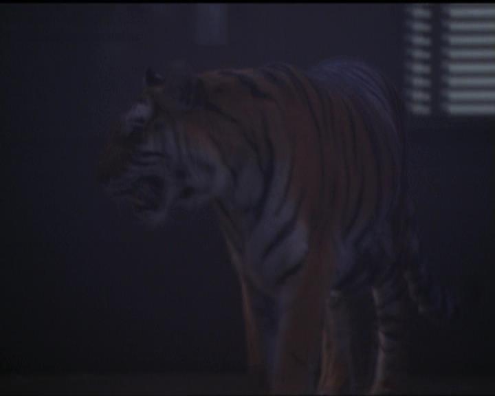 Charmed-Online-dot-net_5x05WitchesInTights0228.jpg Charmed-Online-dot-net_5x05WitchesInTights0228.jpg