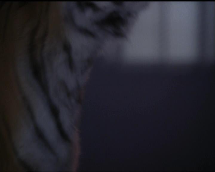 Charmed-Online-dot-net_5x05WitchesInTights0234.jpg Charmed-Online-dot-net_5x05WitchesInTights0234.jpg