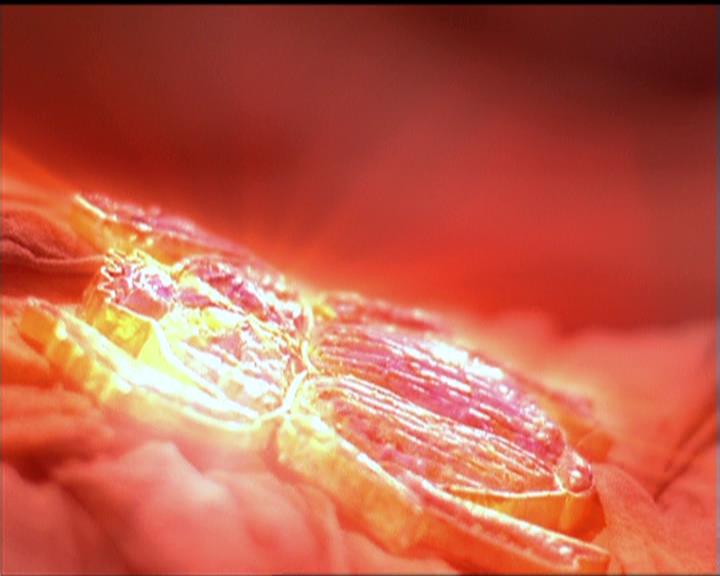 Charmed-Online-dot-510YTuMummyTambien1503.jpg Charmed-Online-dot-510YTuMummyTambien1503.jpg