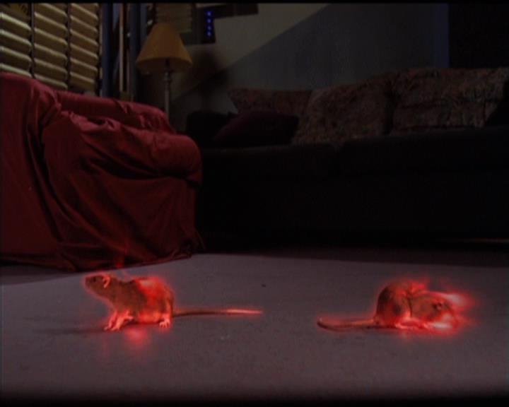 Charmed-Online-dot-511TheImportanceOfBeingPhoebe0614.jpg Charmed-Online-dot-511TheImportanceOfBeingPhoebe0614.jpg