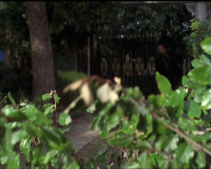 Charmed-Online-dot-512CentennialCharmed1521.jpg Charmed-Online-dot-512CentennialCharmed1521.jpg