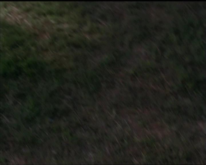 Charmed-Online-dot-512CentennialCharmed1575.jpg Charmed-Online-dot-512CentennialCharmed1575.jpg