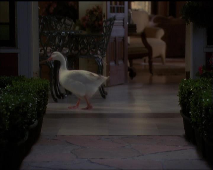 Charmed-Online-dot-515TheDayTheMagicDied0064.jpg Charmed-Online-dot-515TheDayTheMagicDied0064.jpg