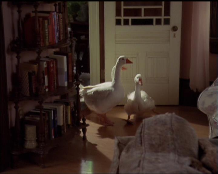 Charmed-Online-dot-515TheDayTheMagicDied0496.jpg Charmed-Online-dot-515TheDayTheMagicDied0496.jpg