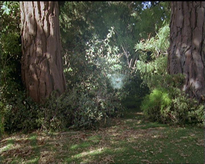 Charmed-Online-dot-516BabysFirstDemon1249.jpg Charmed-Online-dot-516BabysFirstDemon1249.jpg