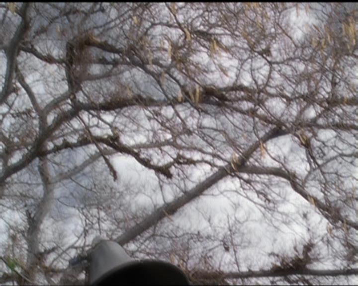 Charmed-Online-dot-516BabysFirstDemon1480.jpg Charmed-Online-dot-516BabysFirstDemon1480.jpg