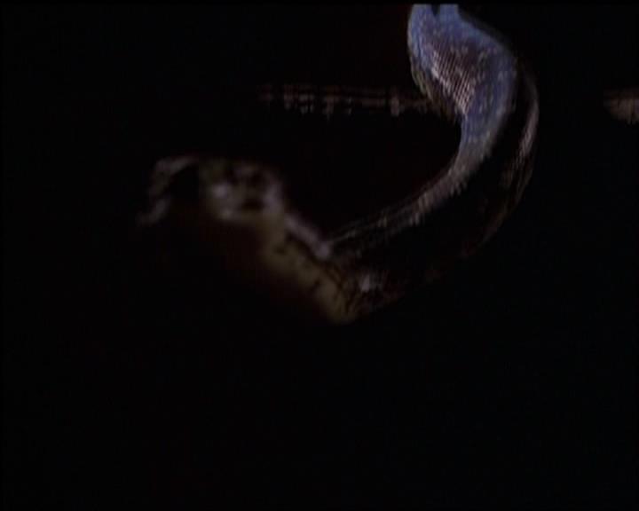 Charmed-Online-dot-517LuckyCharmed0462.jpg Charmed-Online-dot-517LuckyCharmed0462.jpg