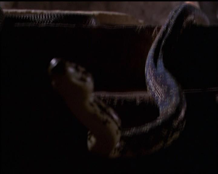 Charmed-Online-dot-517LuckyCharmed0463.jpg Charmed-Online-dot-517LuckyCharmed0463.jpg