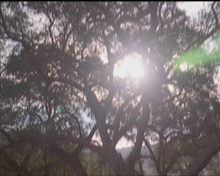 Charmed-Online-dot-517LuckyCharmed0642.jpg Charmed-Online-dot-517LuckyCharmed0642.jpg