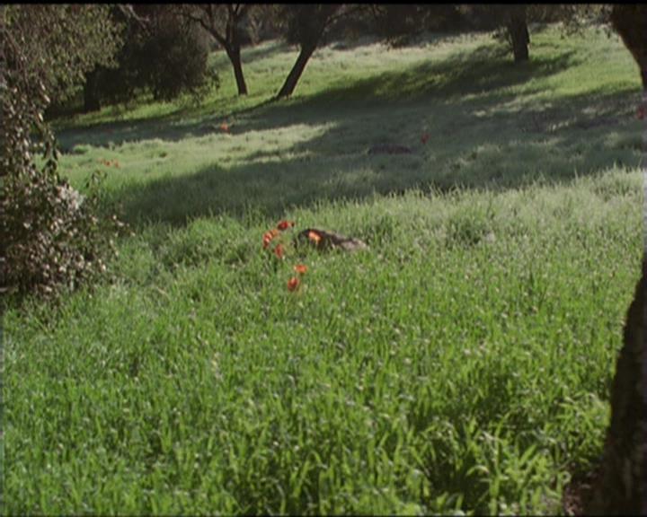 Charmed-Online-dot-517LuckyCharmed1070.jpg Charmed-Online-dot-517LuckyCharmed1070.jpg