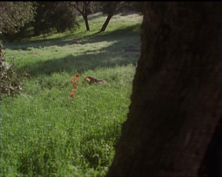 Charmed-Online-dot-517LuckyCharmed1071.jpg Charmed-Online-dot-517LuckyCharmed1071.jpg