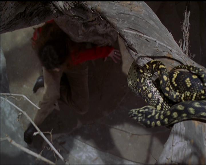 Charmed-Online-dot-517LuckyCharmed2110.jpg Charmed-Online-dot-517LuckyCharmed2110.jpg