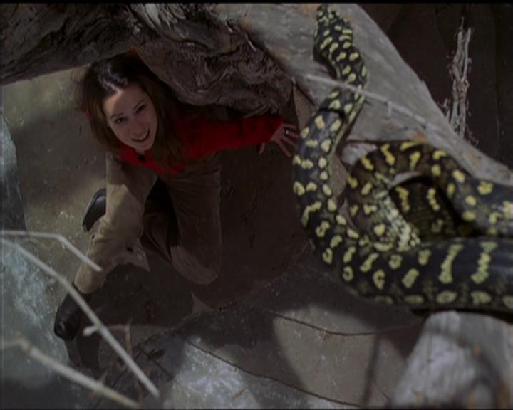 Charmed-Online-dot-517LuckyCharmed2115.jpg Charmed-Online-dot-517LuckyCharmed2115.jpg