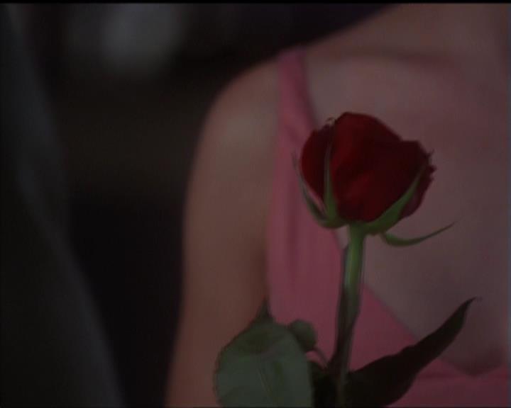 Charmed-Online-dot-517LuckyCharmed2478.jpg Charmed-Online-dot-517LuckyCharmed2478.jpg